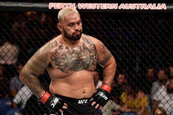 Mark Hunt UFC Adelaide