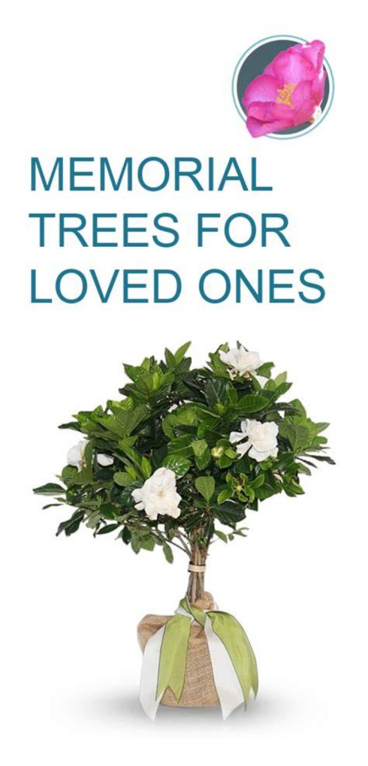 Memorial Plant Gift Tree