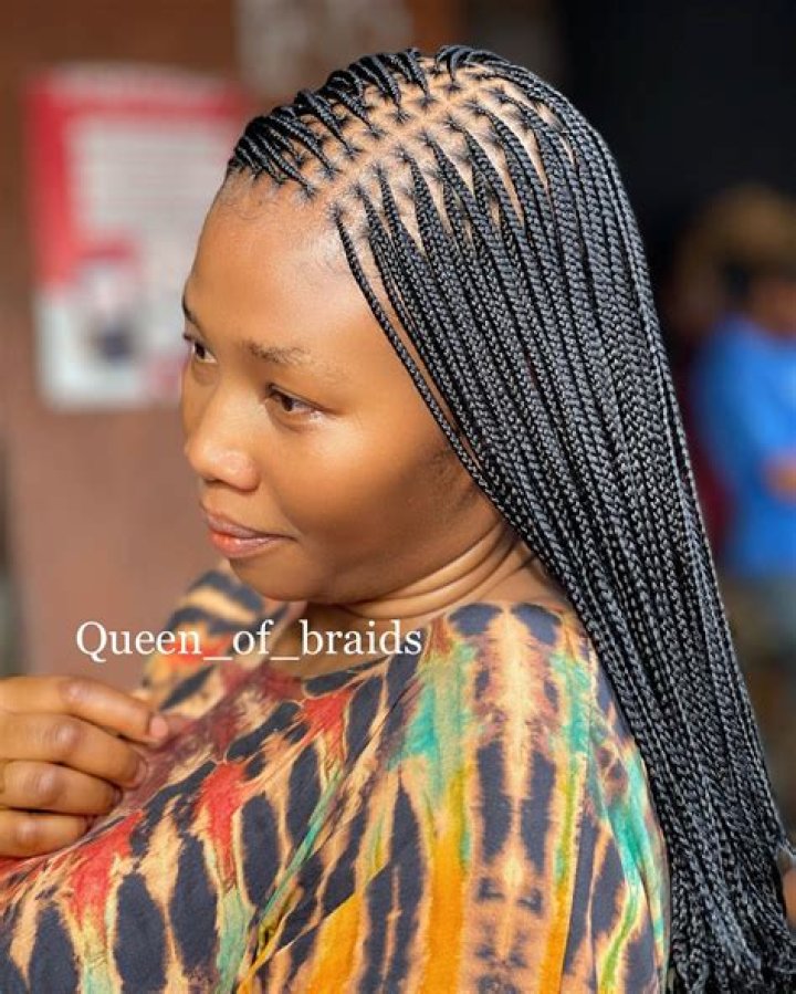 Micro Braids Hairstyles 2012 Black Braided Hairstyles Updos, Micro