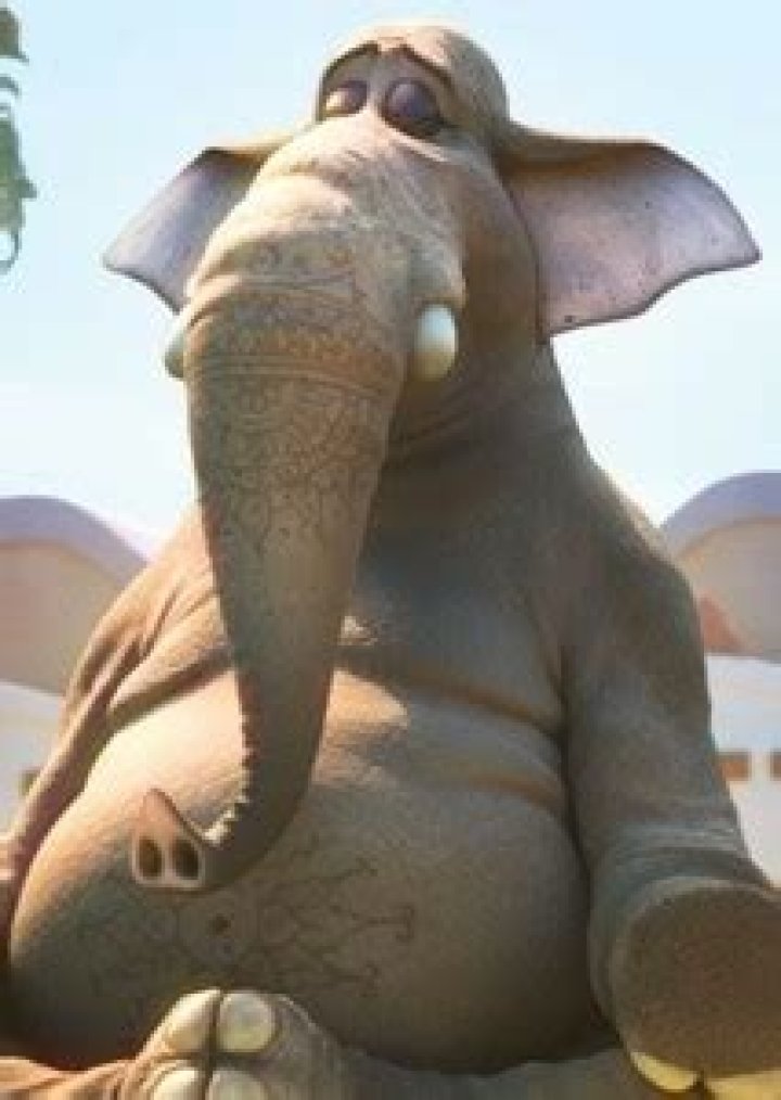 Nangi Fan Casting