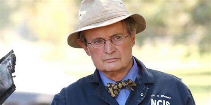 ncis ducky absent