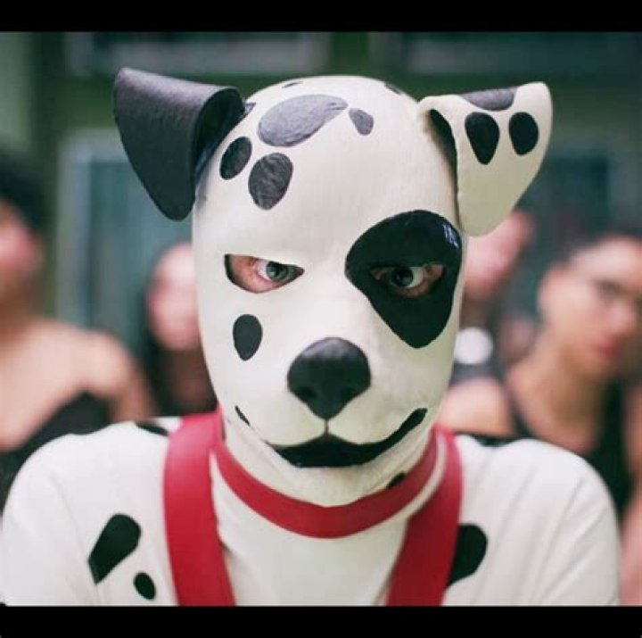 netflix pup play netflix pup play