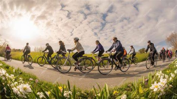 people riding bikes down a street during autumn