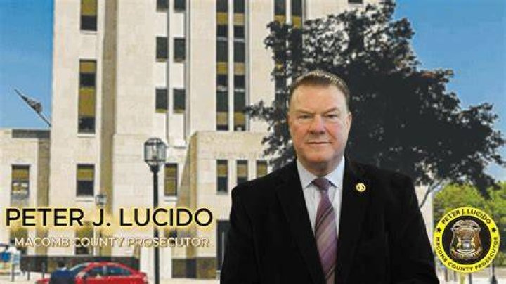 Peter J Lucido Picture