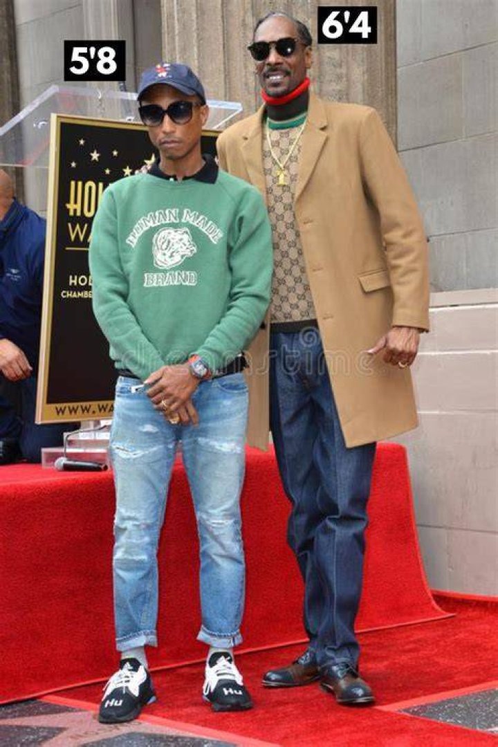 Pharrell Williams height