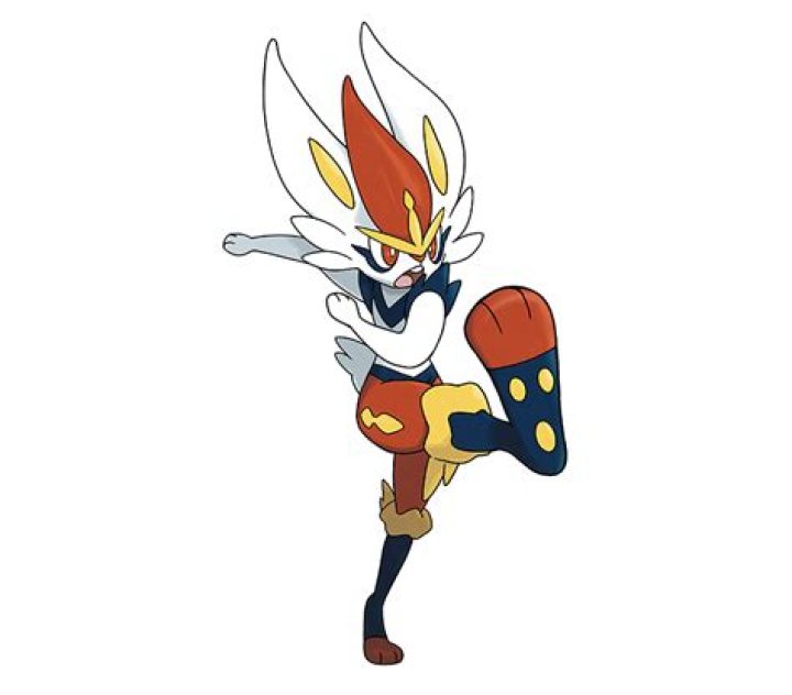 Pokemon Sword and Shield Cinderace