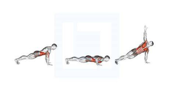 Press up, Arm, Plank, Shoulder, Physical fitness, Abdomen, Chest, Leg, Joint, Exercise, Press up, Arm, Plank, Shoulder, Physical fitness, Abdomen, Chest, Leg, Joint, Exercise,