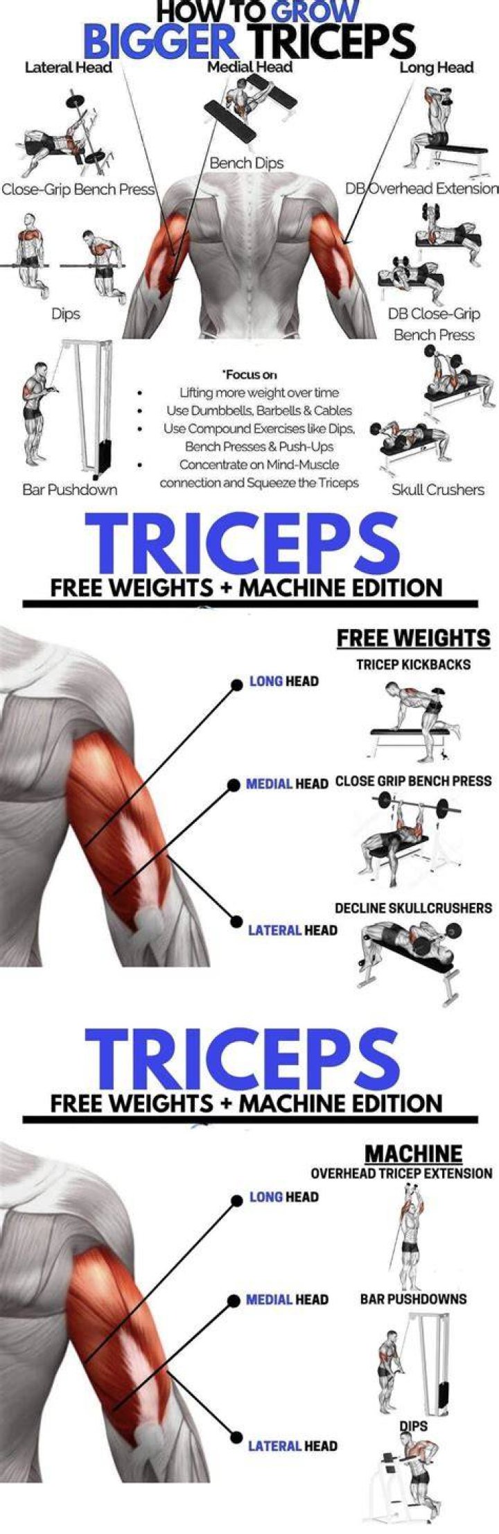 preview for Get Bigger Triceps With The Skull Crusher Tip No One Tells You | Men's Health Muscle