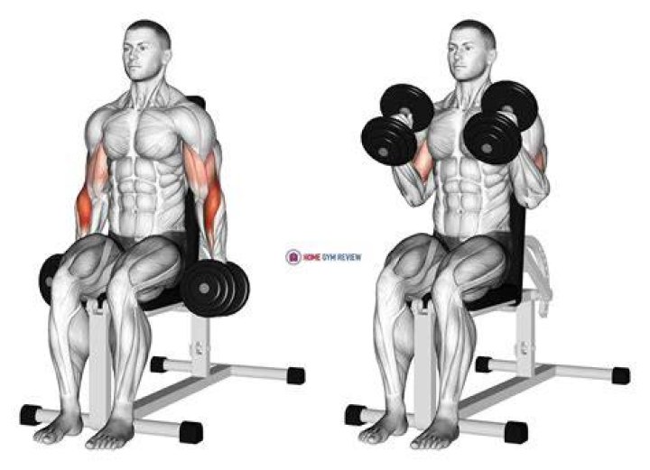 Video player poster image preview for seated hammer curl