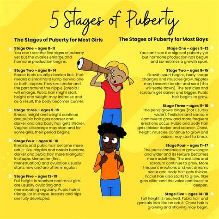 Puberty for boys stages 5 Things to Expect When Puberty Hits Boys