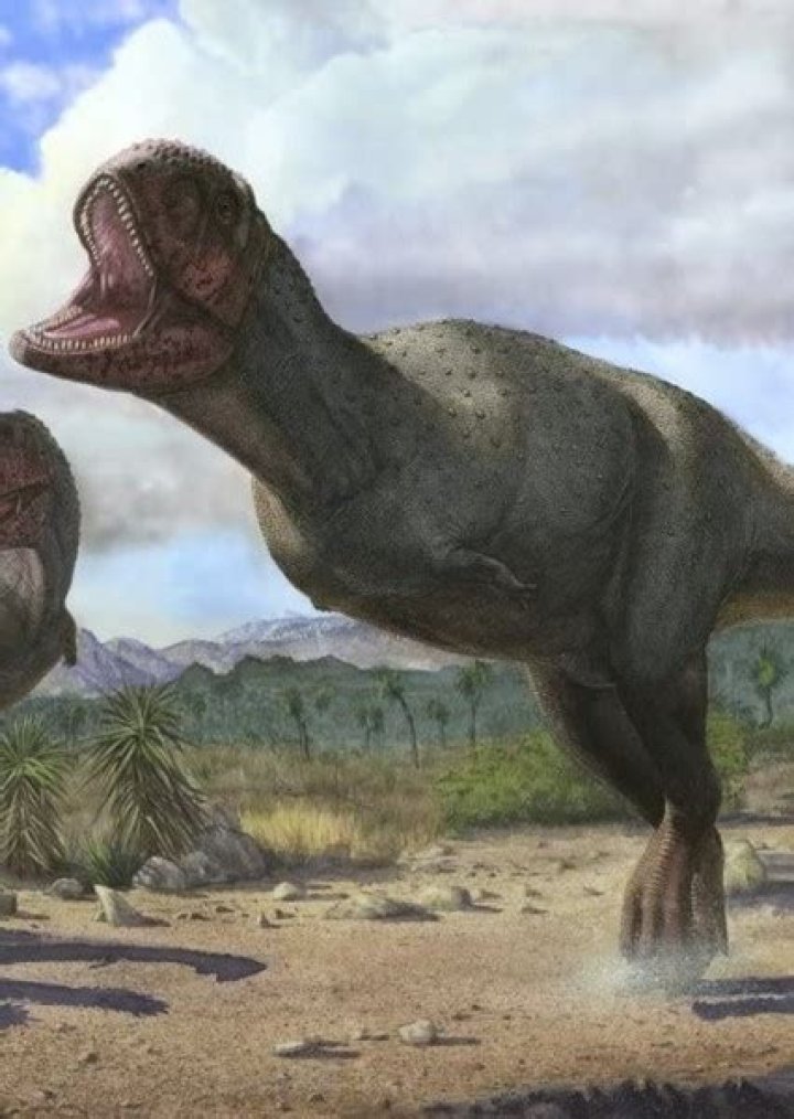 Pycnonemosaurus Fan Casting