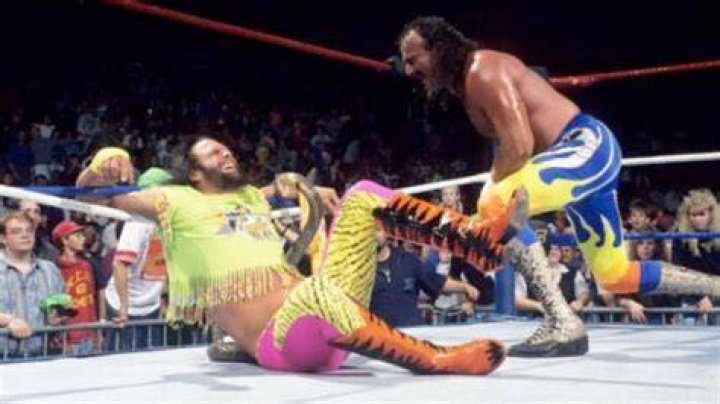 Randy Savage Jake Roberts The Snake Bite 