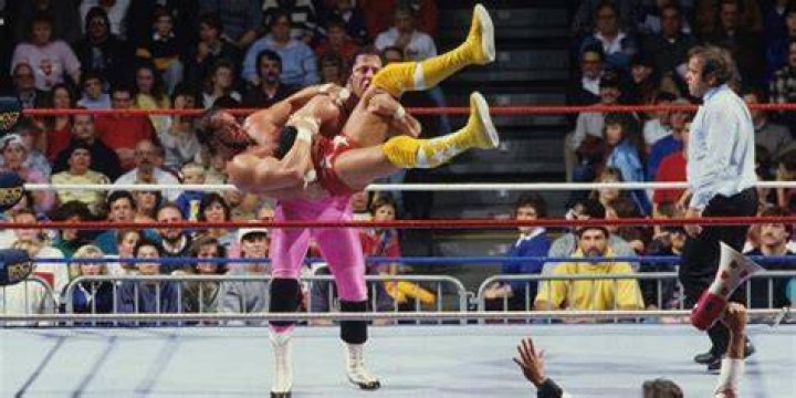 Randy Savage v Bret Hart Slamboree 1998 Cropped