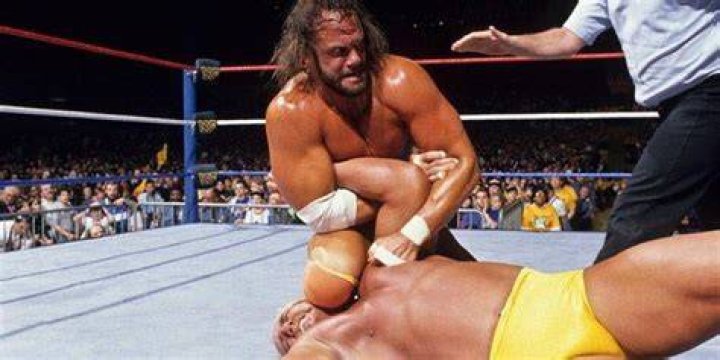 Randy Savage v Hulk Hogan WrestleMania 5 Cropped