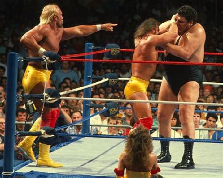Randy Savage v The Giant Road Wild 1997 Cropped