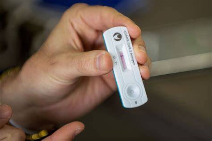 Rapid Antigen Tests Approved For Australians To Test For COVID-19 At Home rapid antigen tests approved for australians to test for covid 19 at home
