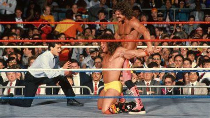 Rick Rude v The Ultimate Warrior SummerSlam 1989 Cropped
