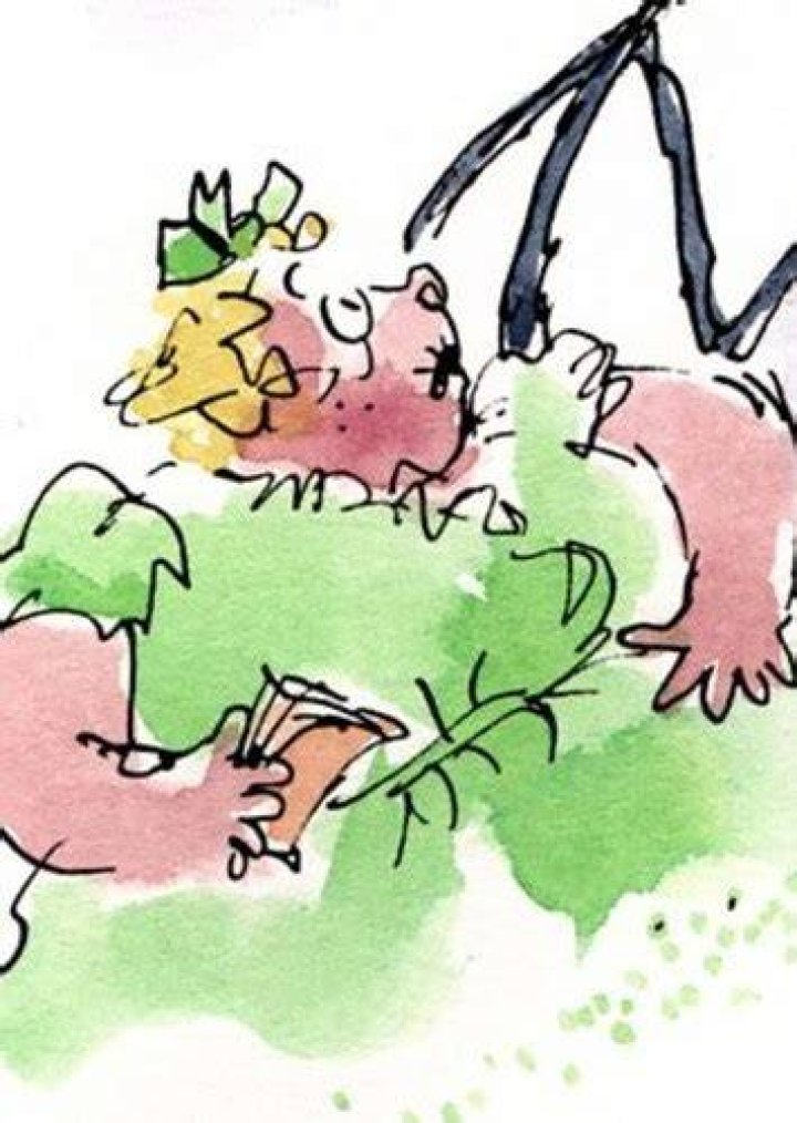 Roald Dahl Aunt Sponge