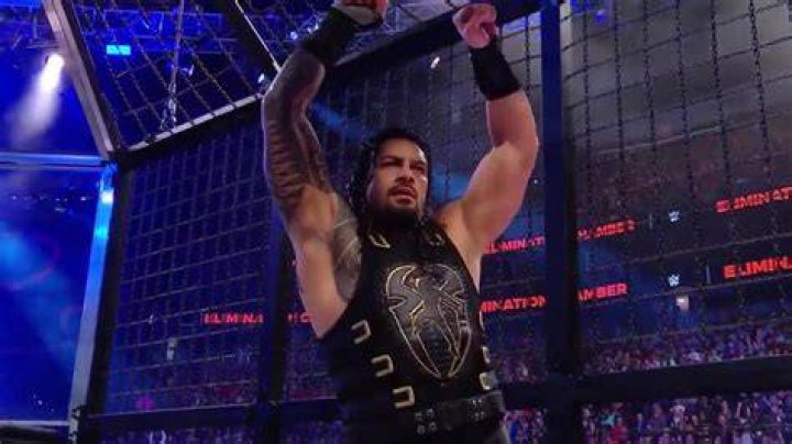 Roman Reigns Elimination Chamber