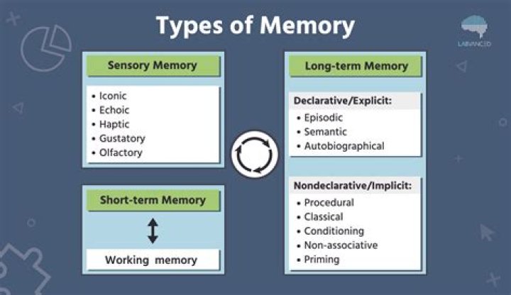 Sacrosanct Mammoth Memory definition remember meaning