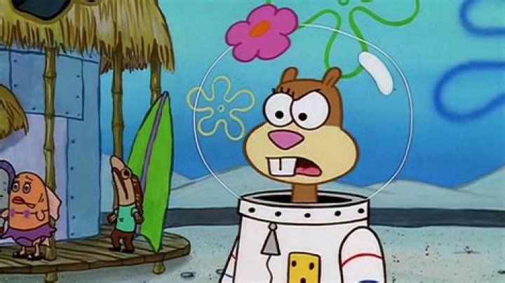 Sandy Meme SpongeBob SquarePants