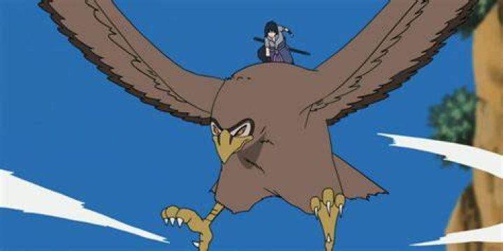 Sasuke Hawk Naruto