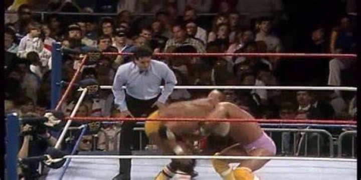 Savage v Reed