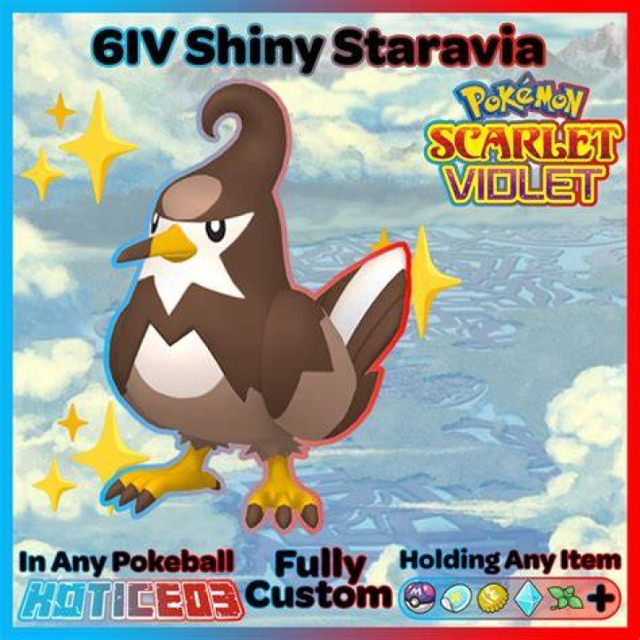 Shiny Staravia (closed - trade done)