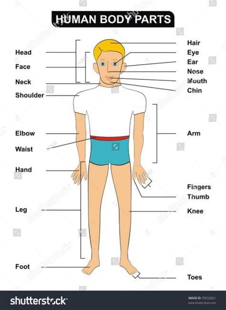shoulder, elbow, human leg, knee, sitting, wrist, muscle, physical fitness, sneakers, exercise,