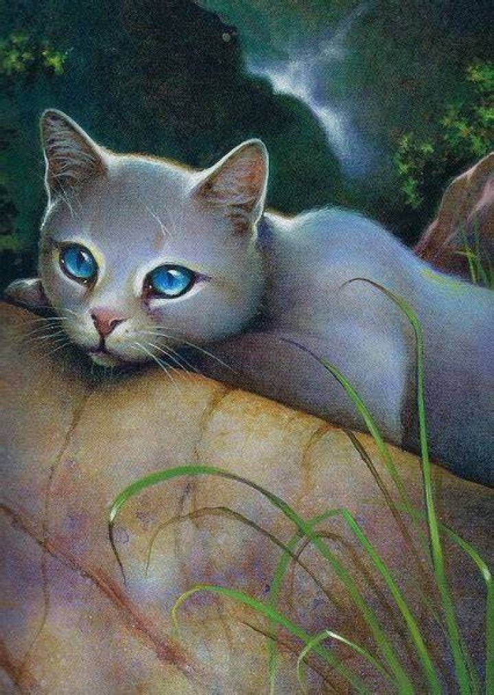 Skystar (Warrior Cats) Fan Casting