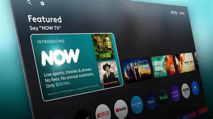 Sony Now on a TV