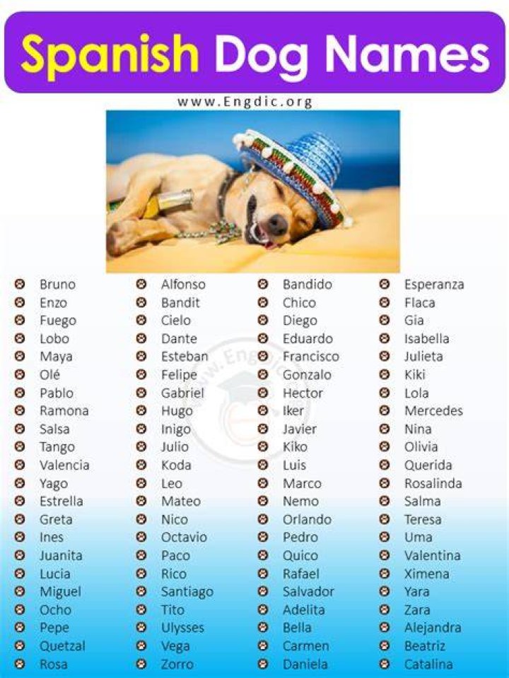 Spanish Dog Names