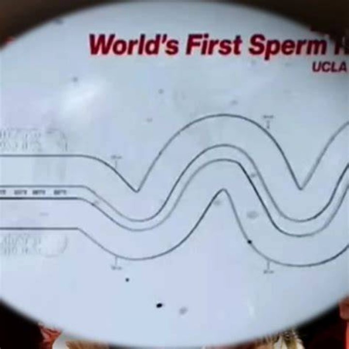 Sperm world sperm world