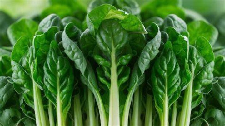 Spinach