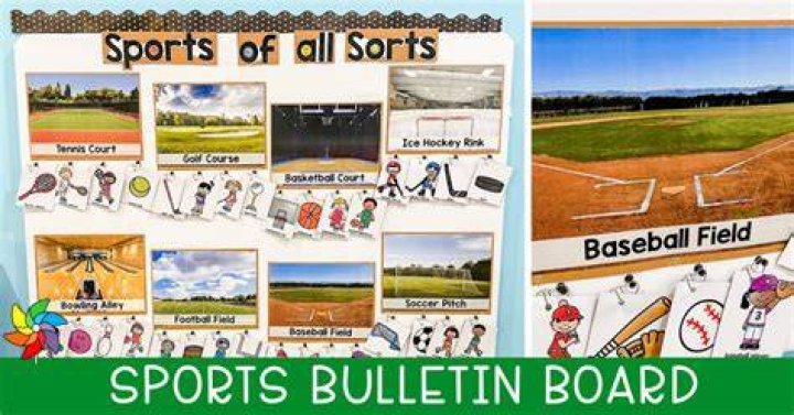 Sports that use a board in the world