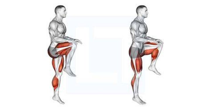 Standing, Arm, Leg, Knee, Muscle, Abdomen, Sitting, Joint, Human body, Chest, Standing, Arm, Leg, Knee, Muscle, Abdomen, Sitting, Joint, Human body, Chest,