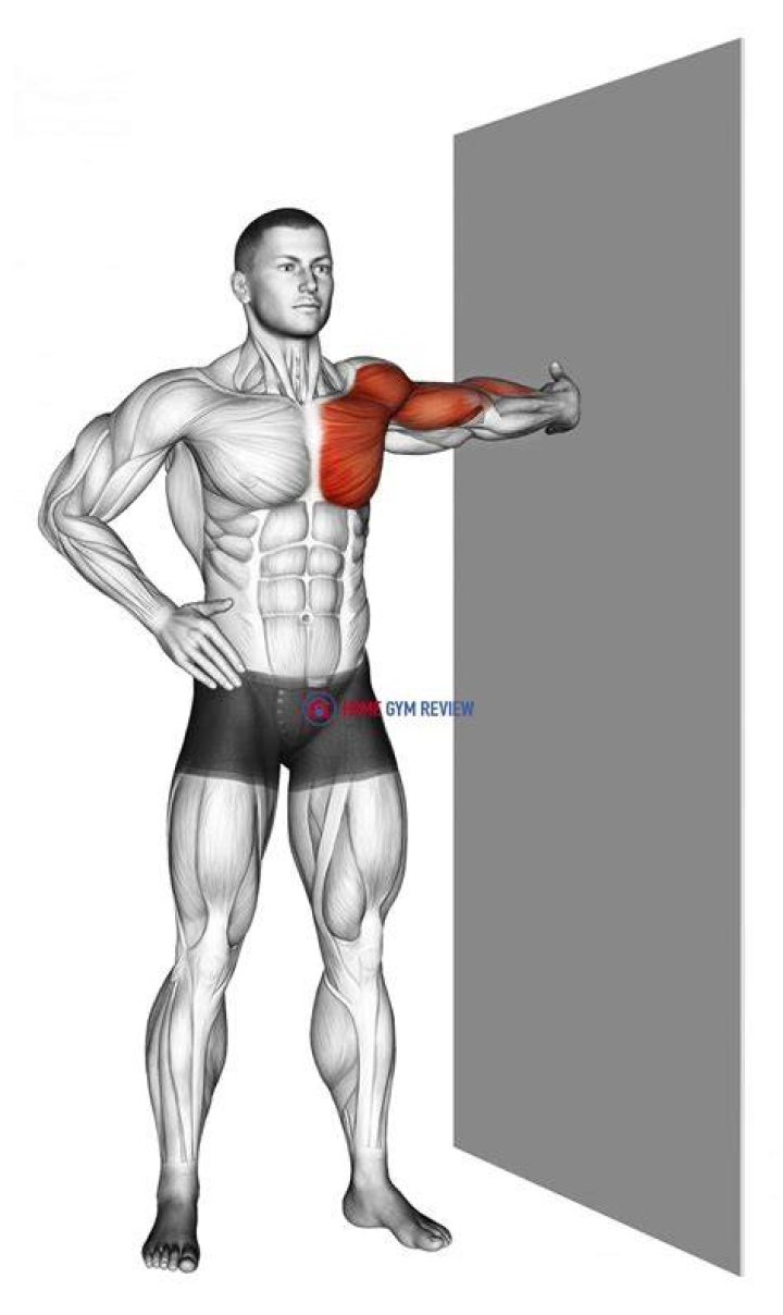 Standing, Arm, Leg, Muscle, Chest, Joint, Knee, Sportswear, Barechested, Human body, Standing, Arm, Leg, Muscle, Chest, Joint, Knee, Sportswear, Barechested, Human body,