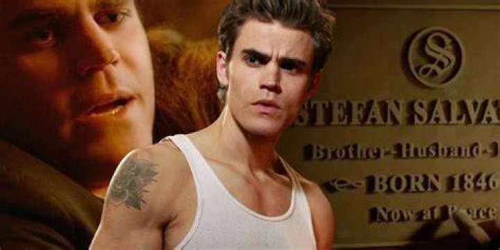 Stefan final death scene of season 8