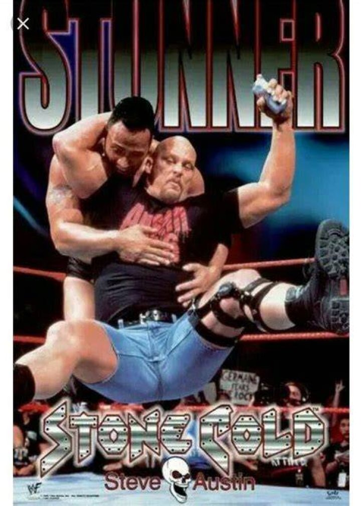 Steve Austin Stone Cold Stunner Disco Inferno Charttopper