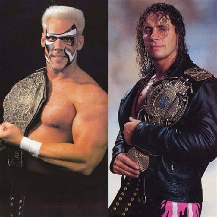 Sting vs Bret Hart