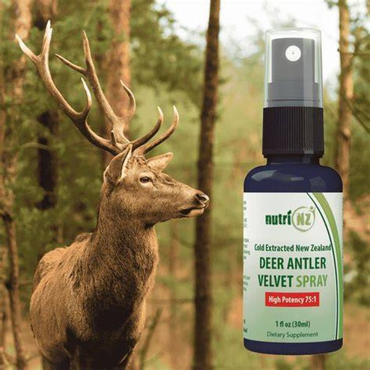 The Truth about Deer Antler Spray
