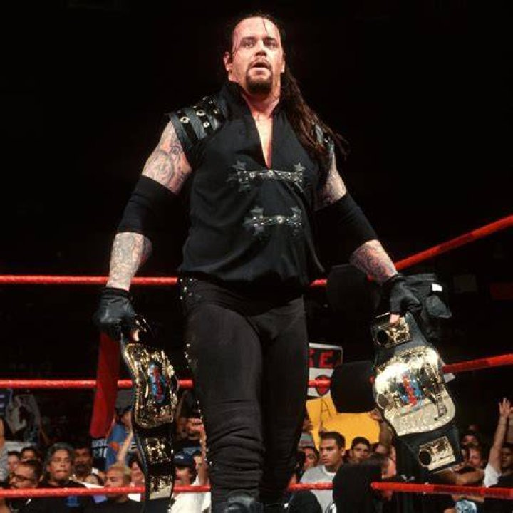 The Undertaker as WWE Champion