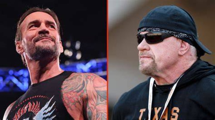 The Undertaker defeats CM Punk