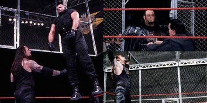 The Undertaker Vs Big Boss Man