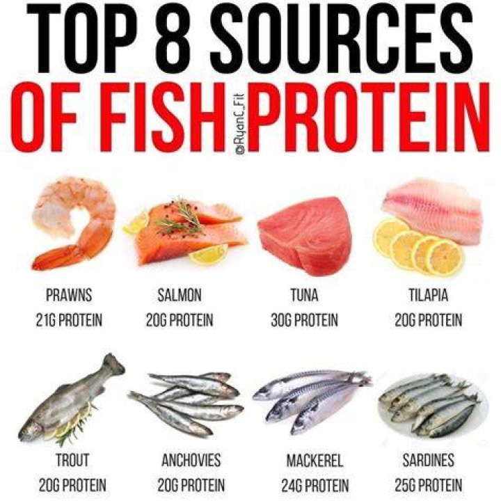These Are the 15 Fish That Are Highest in Protein