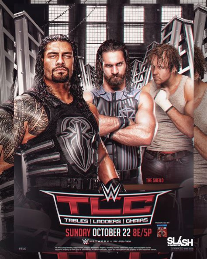 TLC 2017 Shield