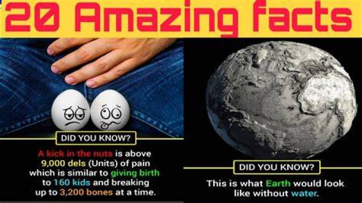 Top 10 Interesting Facts about Gisele B&uuml;ndchen Discover Walks Blog
