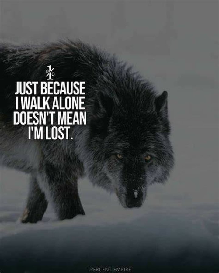 Top 50 Inspirational Lone Wolf Quotes for Year 2023