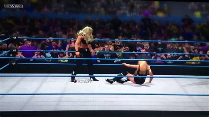 Torrie Wilson vs Sable