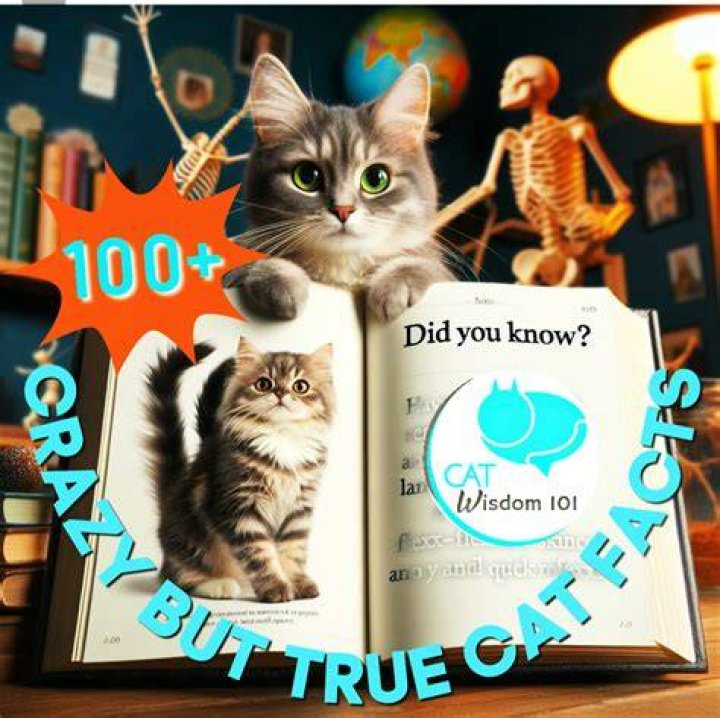 True facts r/Sodacat